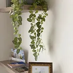 14-een Oase Rust Tussen Polders En Kust Ostenda