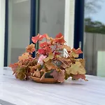 14-een Oase Rust Tussen Polders En Kust