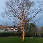 14-een Oase Rust Tussen Polders En Kust * Oostende