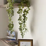 Casa vacanze 14-een Oase Rust Tussen Polders En Kust *