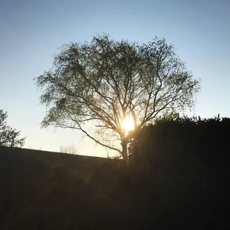 Prázdninový dům 14-een Oase Rust Tussen Polders En Kust