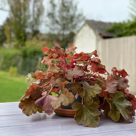 14-een Oase Rust Tussen Polders En Kust 度假居