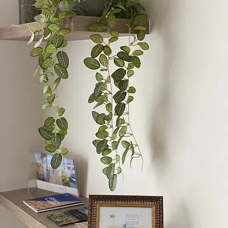 14-een Oase Rust Tussen Polders En Kust 奥斯滕德