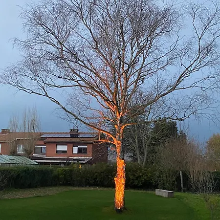 14-een Oase Rust Tussen Polders En Kust * 奥斯滕德