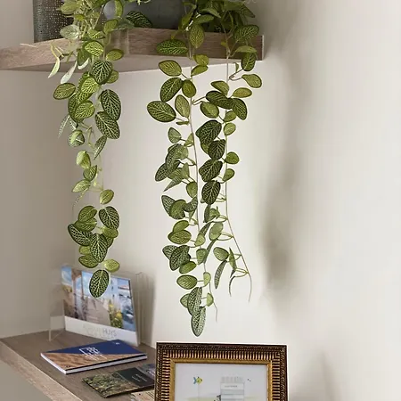 Prázdninový dům 14-een Oase Rust Tussen Polders En Kust *