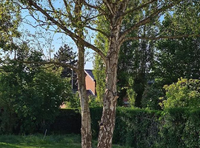 度假居 14-een Oase Rust Tussen Polders En Kust 奥斯滕德