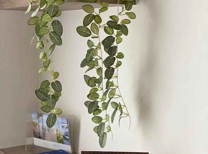 14-een Oase Rust Tussen Polders En Kust Oostende