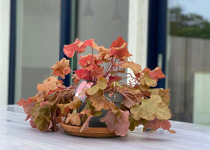 14-een Oase Rust Tussen Polders En Kust