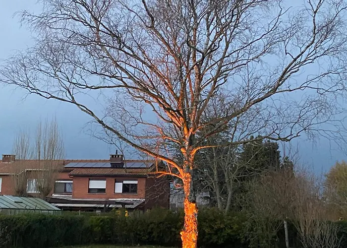 14-een Oase Rust Tussen Polders En Kust * Oostende