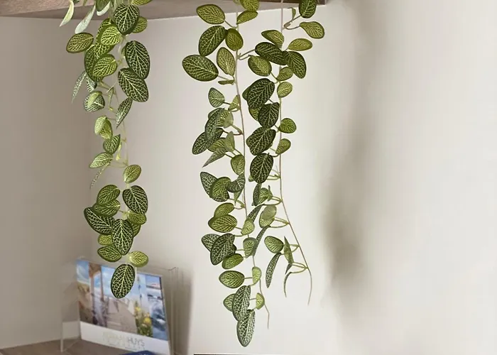 別荘 14-een Oase Rust Tussen Polders En Kust *